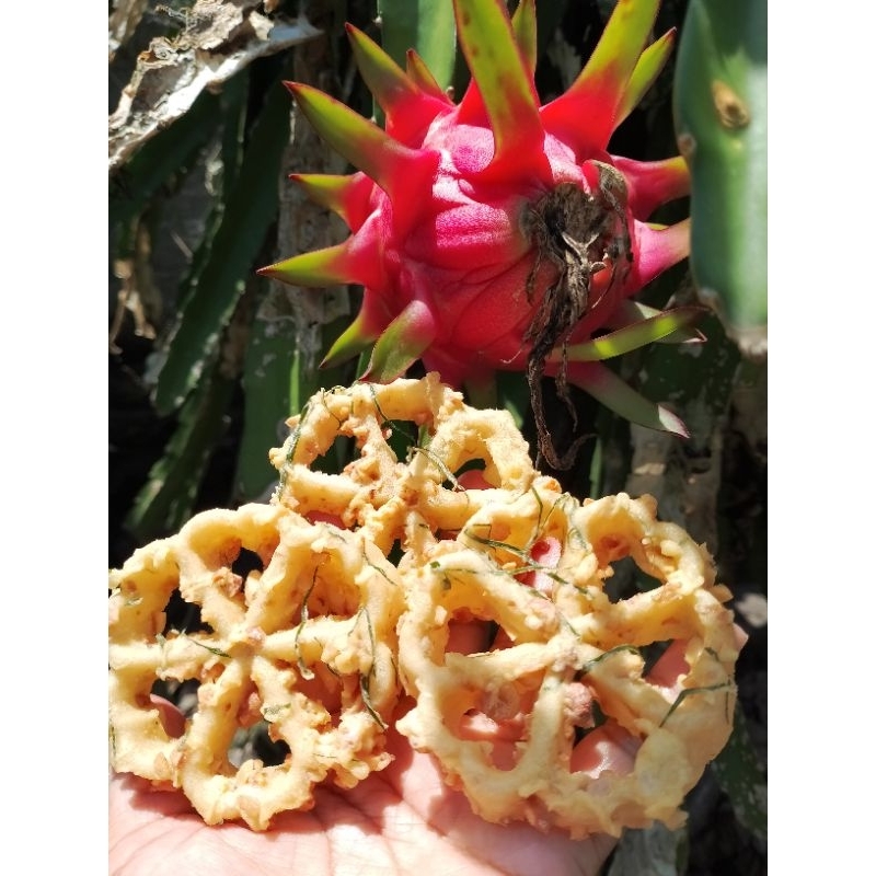 

PEYEK KEMBANG MATAHARI