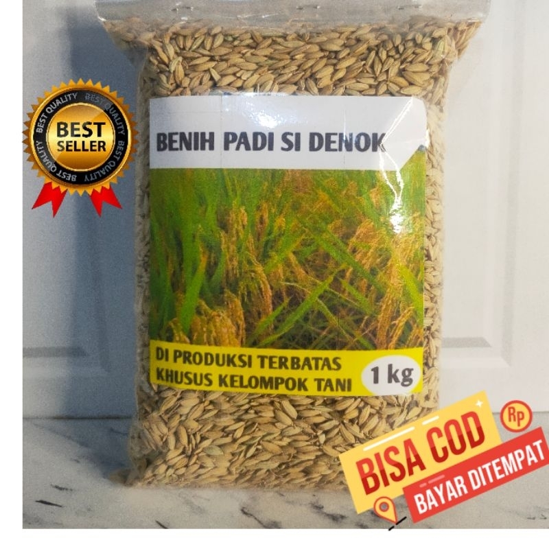 Benih padi denok super ungul 1 kg