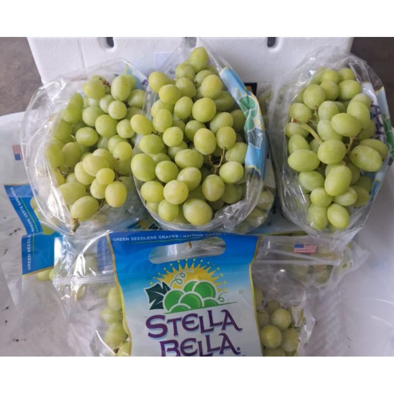 

Anggur Hijau Stella Bella USA