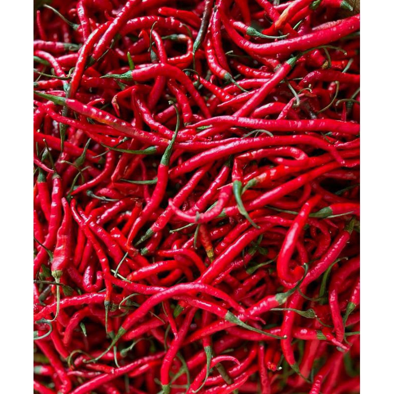 

super cabai merah keriting segar 1kg