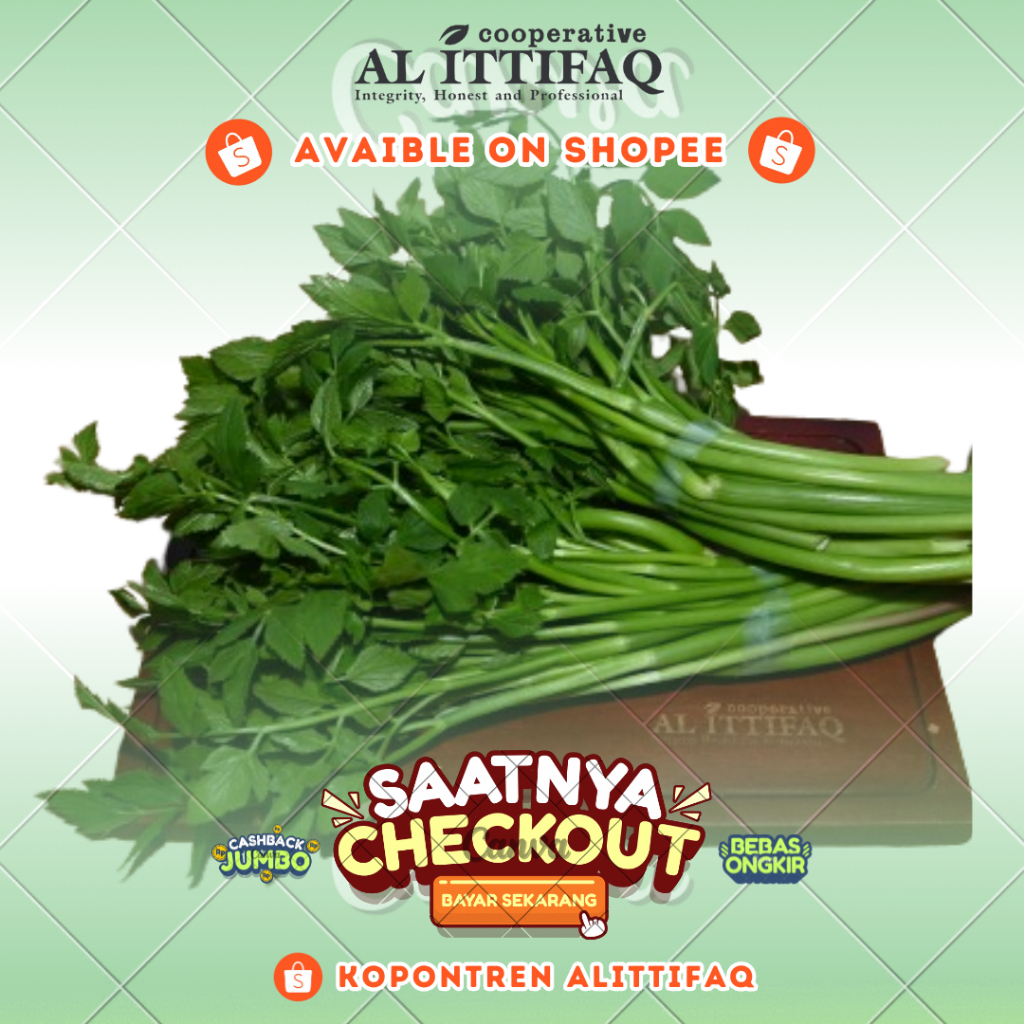 

Tespong Bahan Masakan Sayuran Segar 150g Termurah Berkualitas Terbaik Kopontren Al Ittifaq Bandung