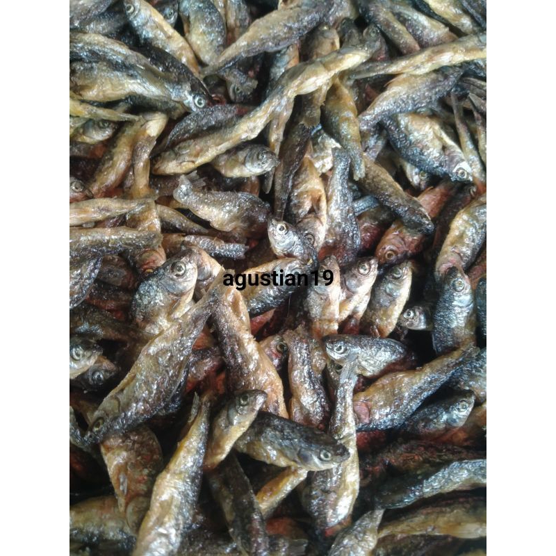

ikan biliH Goreng danau siNGkaraK berkualitas super