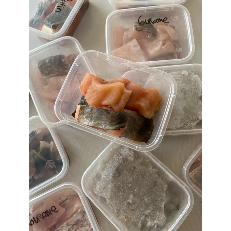 

Ikan Patin Fillet Box Cocok Untuk MPASI Anak Porsi Pas