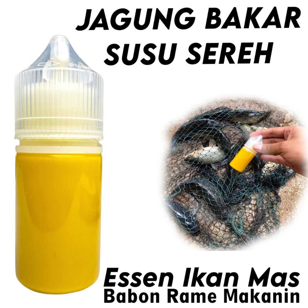 Essen Ikan Mas Aroma Jagung Bakar Susu Sereh Paling Gacor, Essen Ikan Mas Jagung Bakar, Essen Ikan M