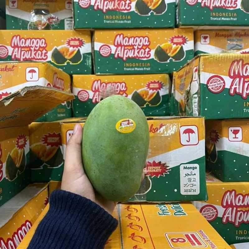 

Mangga Harum Manis Klonal - Fresh