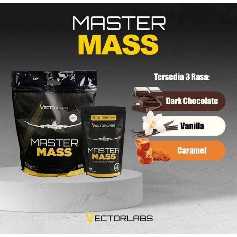 VECTORLABS MASTER MASS GAINER 12LB