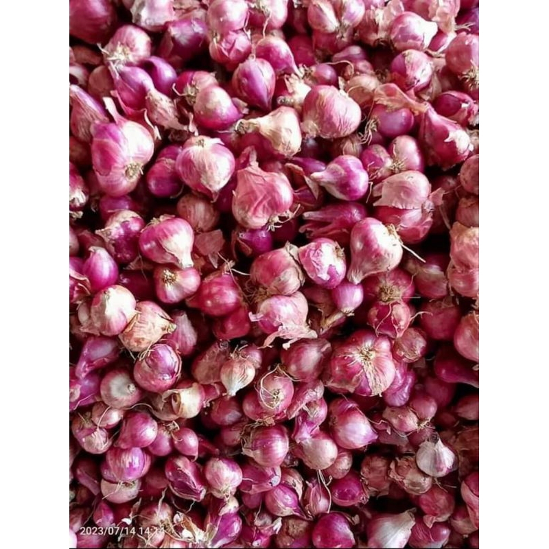 

bawang merah langka pegunungan rahasia 1 kg