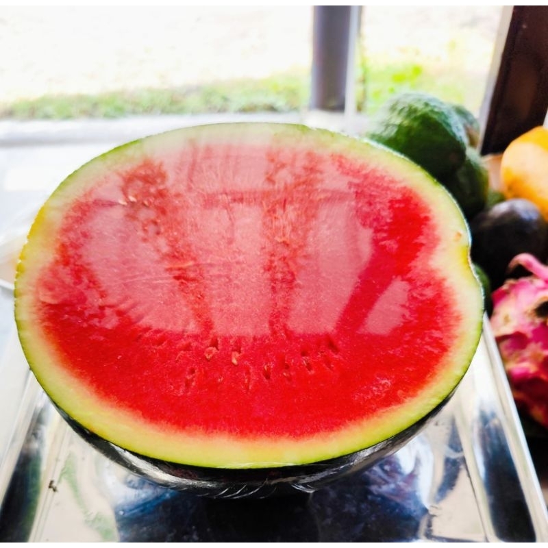 

Semangka Merah Tanpa Biji kirim solo karanganyar sukoharjo dan sekitarnya