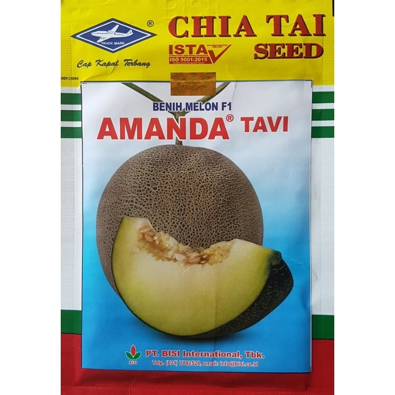 MELON AMANDA TAVI F1
