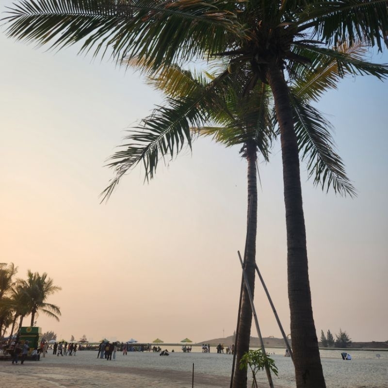 BOOKED | KDRAMA Cinderella at 2AM OST