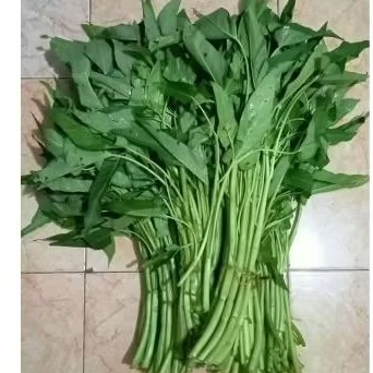 

kangkung satu ikat