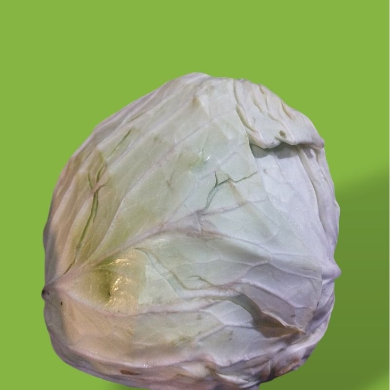 kol/kubis 1kg