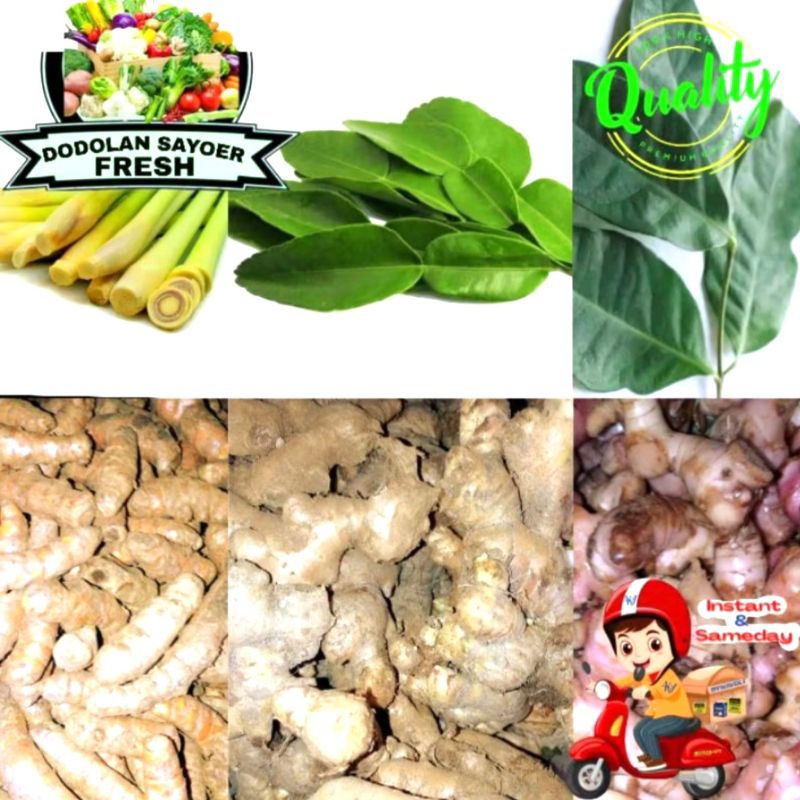 

Paket bumbu dapur 5ribu Fresh pilihan
