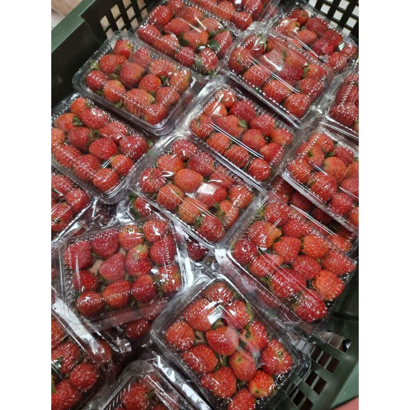 

Buah Strawberry ukuran mini