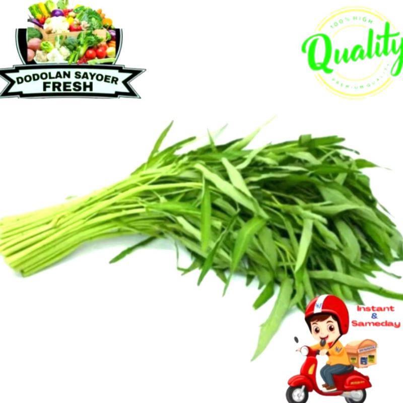 

Kangkung /Sayur kangkung Fresh pilihan