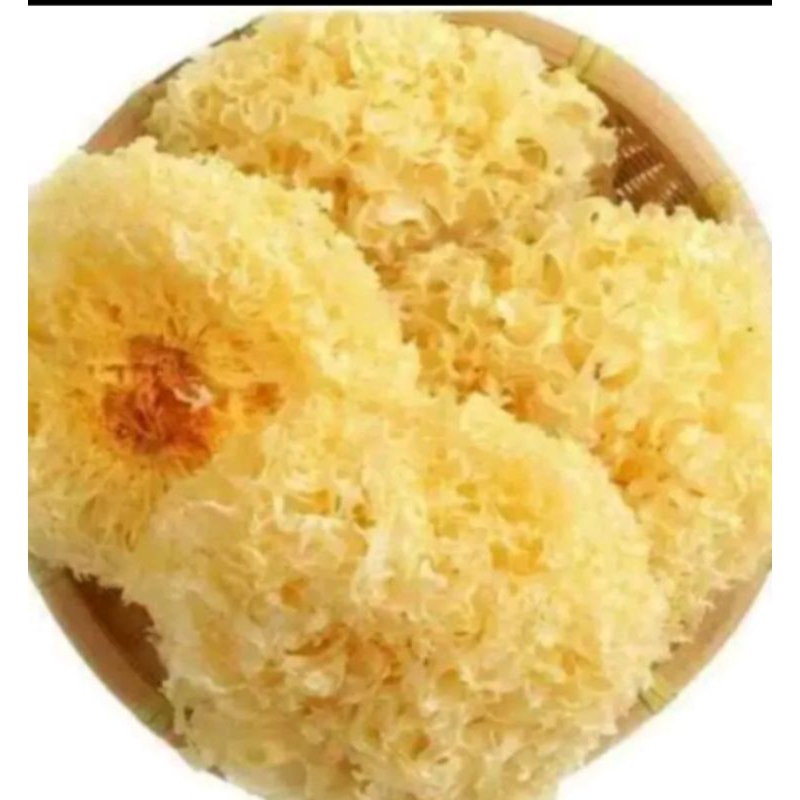 

Jamur Salju / Jamur Putih / Snow White Fungus Kemasan 100g