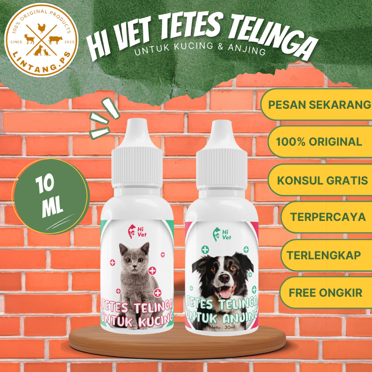 HI VET obat Tetes Telinga Kucing - Obat Tetes Telinga untuk Kucing - Tetes Telinga Kucing