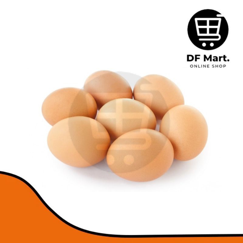 

Telur Ayam Negeri 500gr - 1Kg / Telur Ayam Horn
