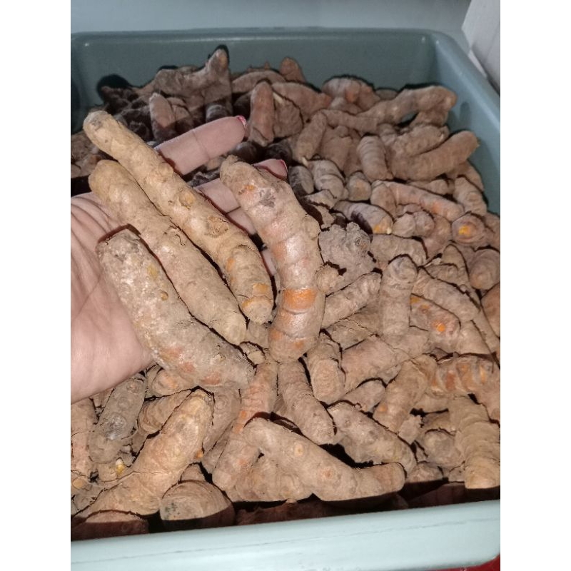 

kunir atau kunyit kuning rempah 500gr