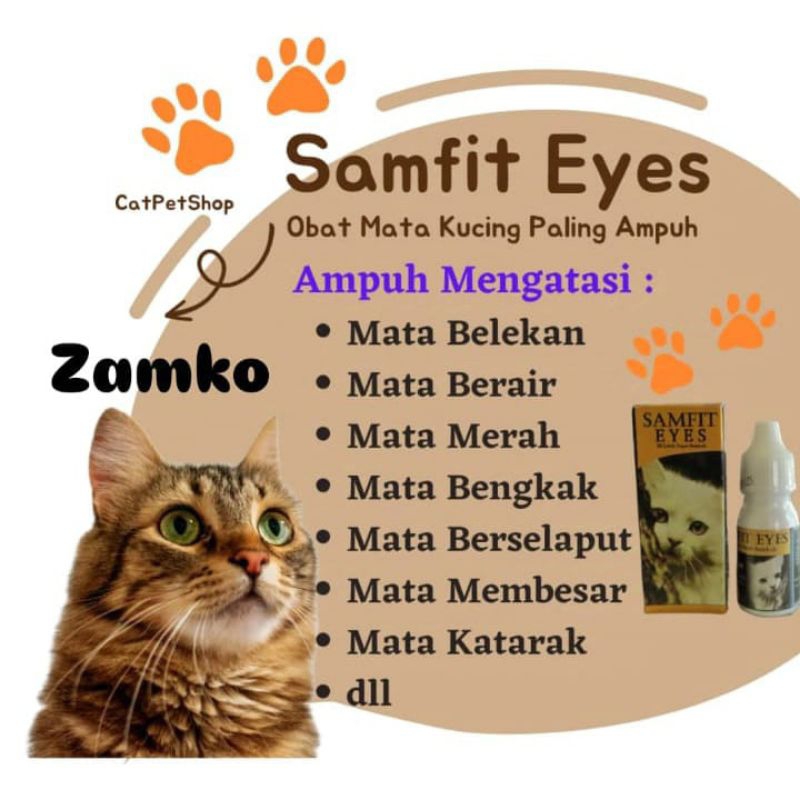 Obat Mata Kucing Belekan Berair Bengkak Infeksi Berselaput Menonjol Bernanah Kitten Dan Dewasa Ampuh
