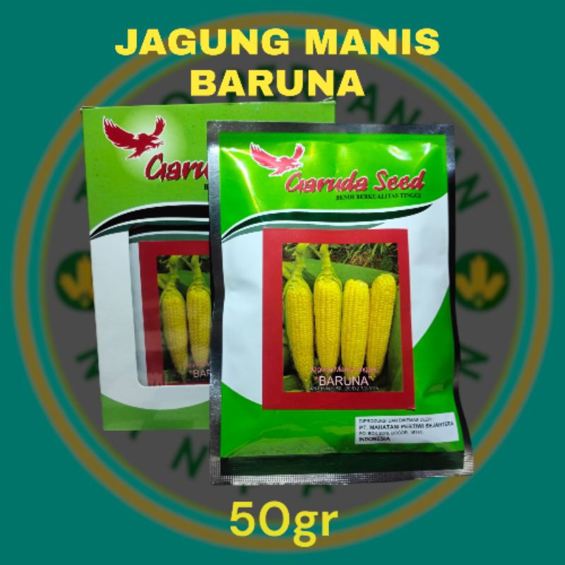 

Benih Bibit Jagung Manis Baruna 50/250 gram Kemasan Pabrik Garuda Seed
