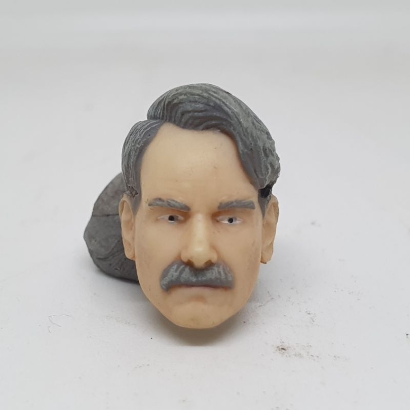 DC Collectibles Multiverse Head HS James Jim Gordon Detective Batman kitbash 1/12