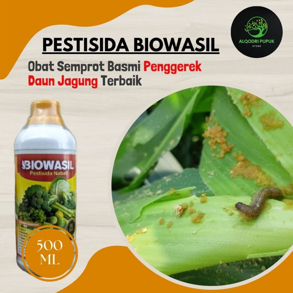 Pupuk Pestisida Basmi Hama Penggerek Daun Jagung Ampuh - BIOWASIL 5OOML - Obat racun hama jagung