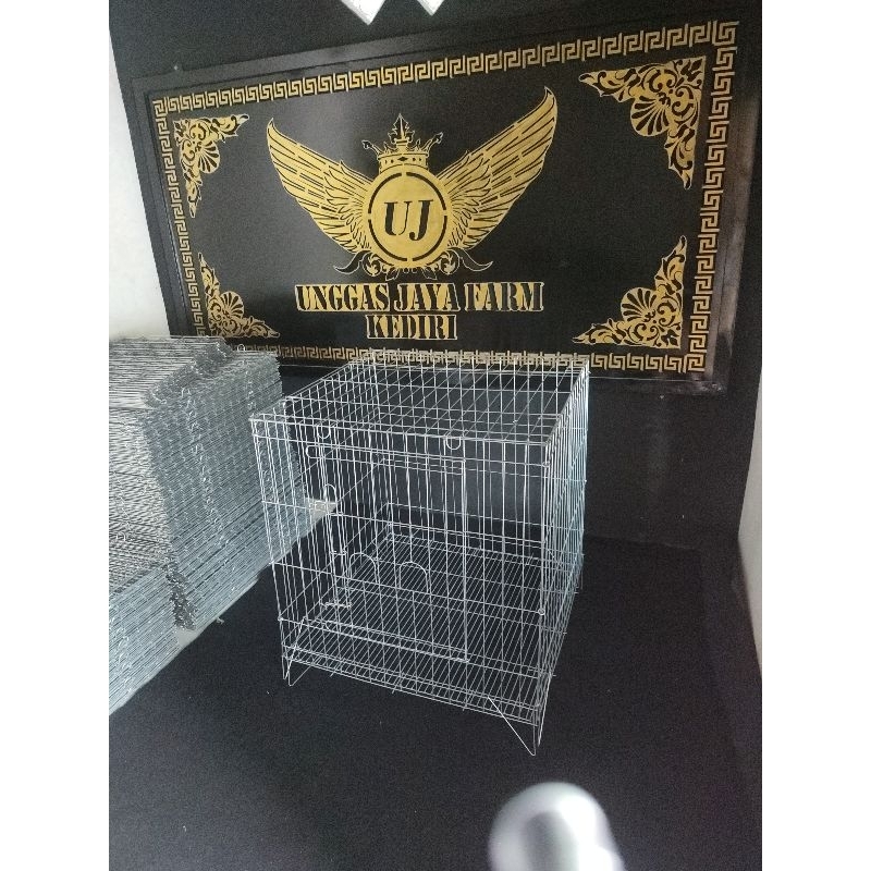 KANDANG BOX AYAM GALVANIS GALVANISE