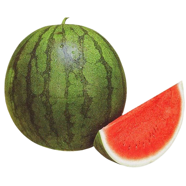 

Semangka/Melon 1/4 Potong Replika