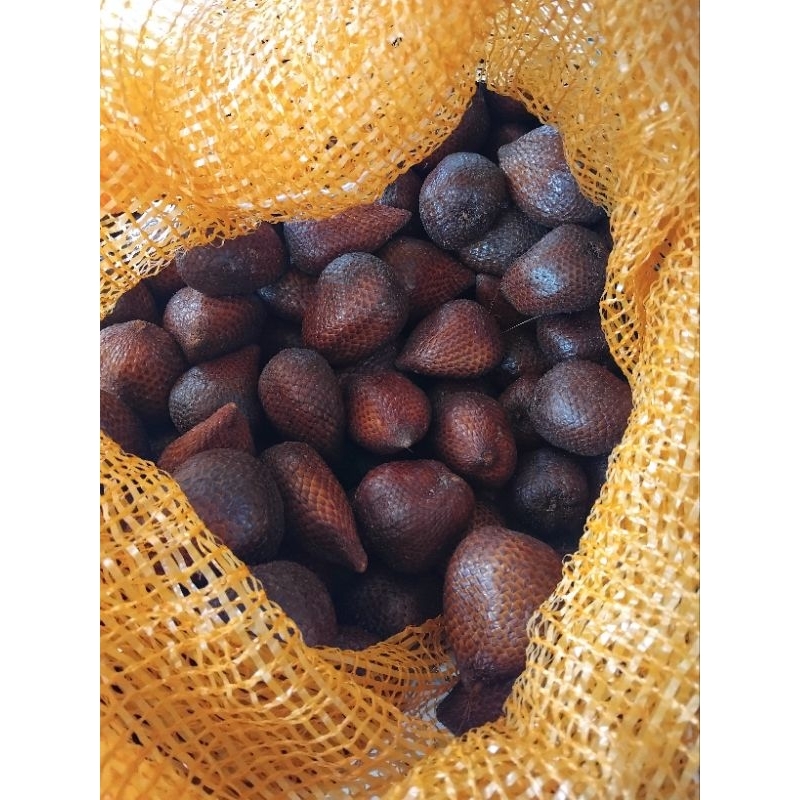 

Buah salak pondoh 1kg/khas pangandaran