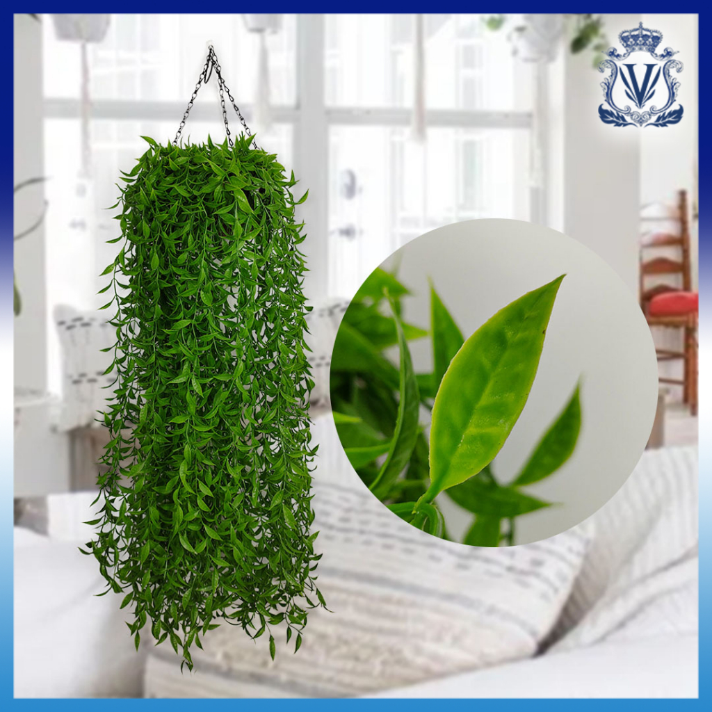 Daun anggrek juntai plastik /Bunga Rambat Tanaman Hias Gantung  Sintesis Lee kwan yew Ekaliptus/Gang
