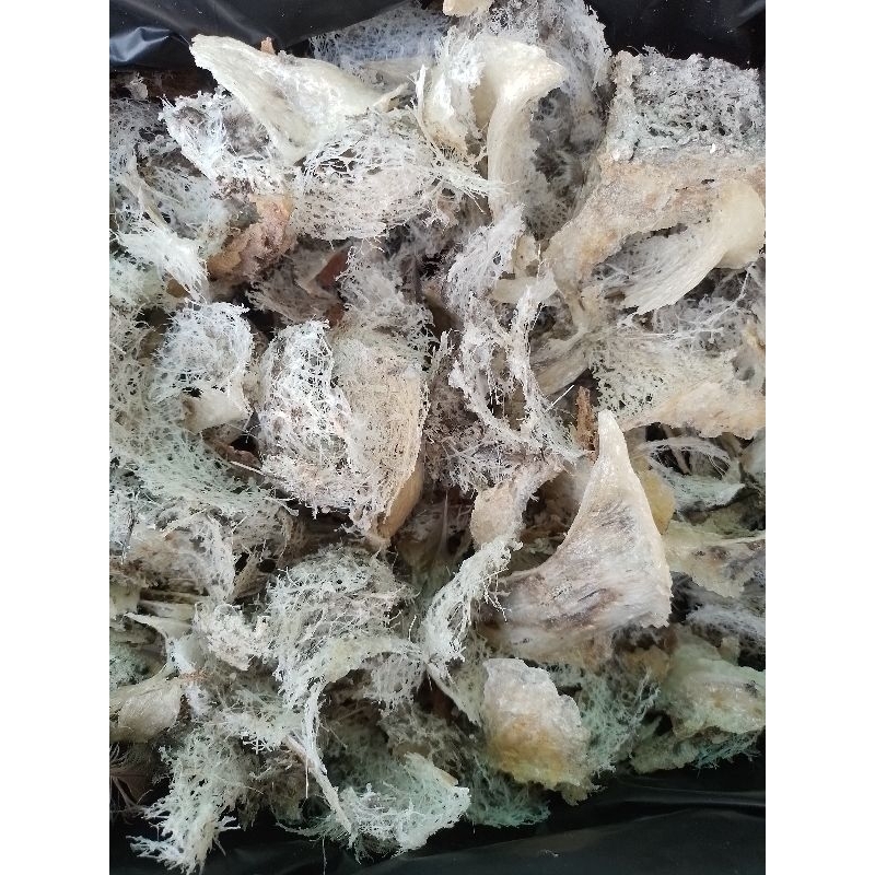 

Sarang walet bubukan kotor 100gr