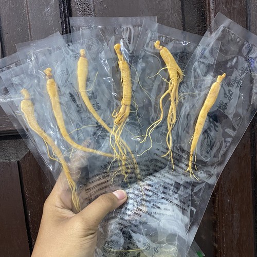 

Ginseng 30 Gr