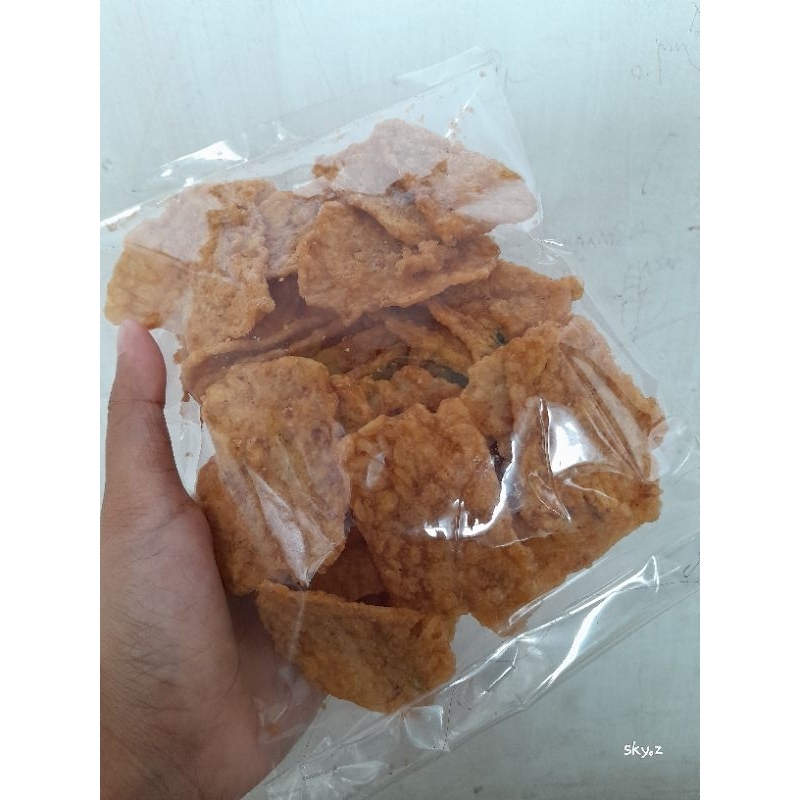 

SALEGOR kripik tempe