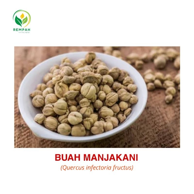 

BUAH MANJAKANI (Quercus Infectoria Fructus) REMPAH NATURE HERBS