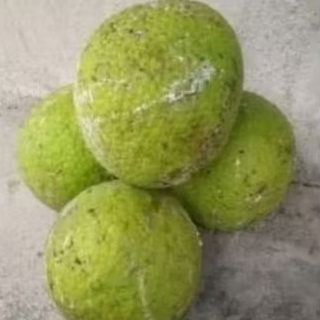 

buah sukun 1 kg