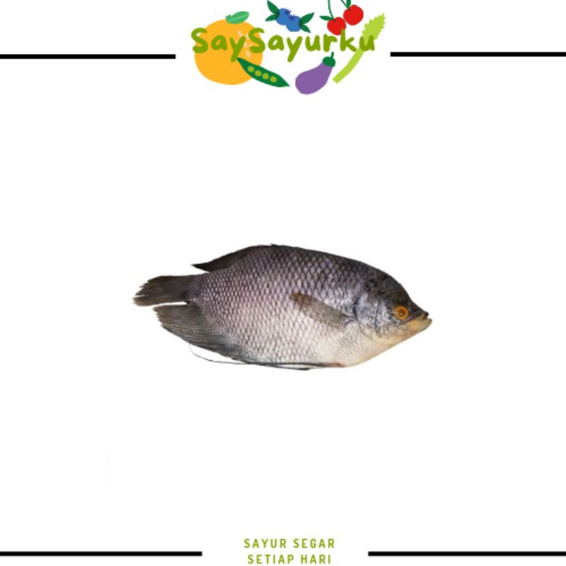 

IKAN GURAME 1KG