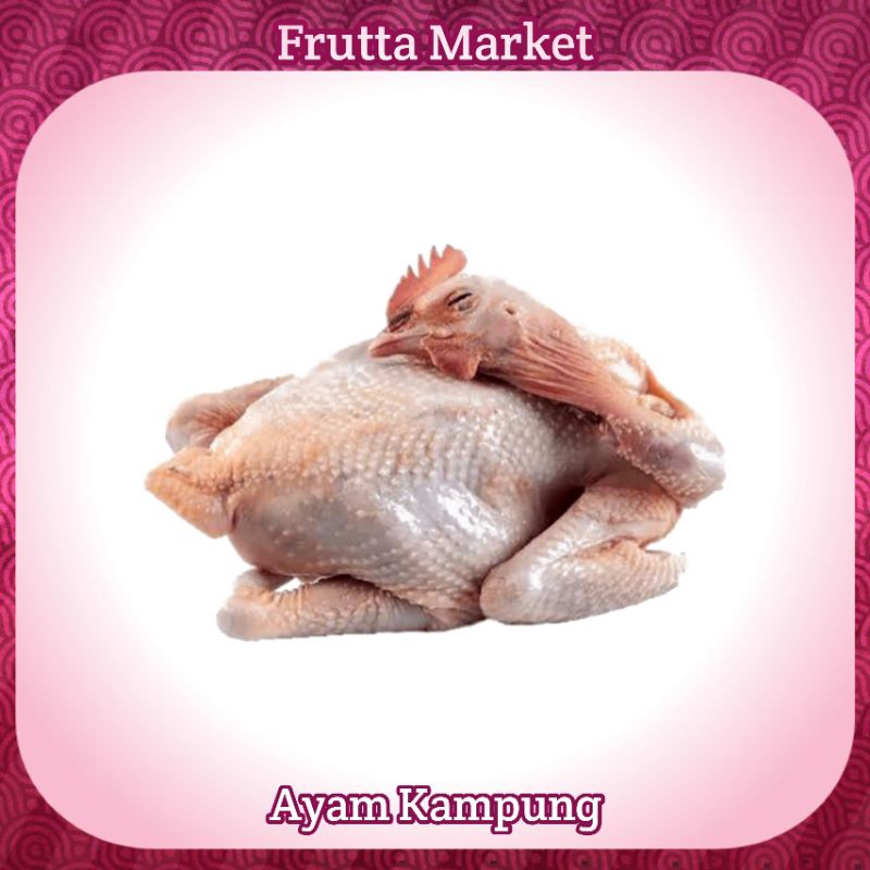 

Ayam Kampung Fresh