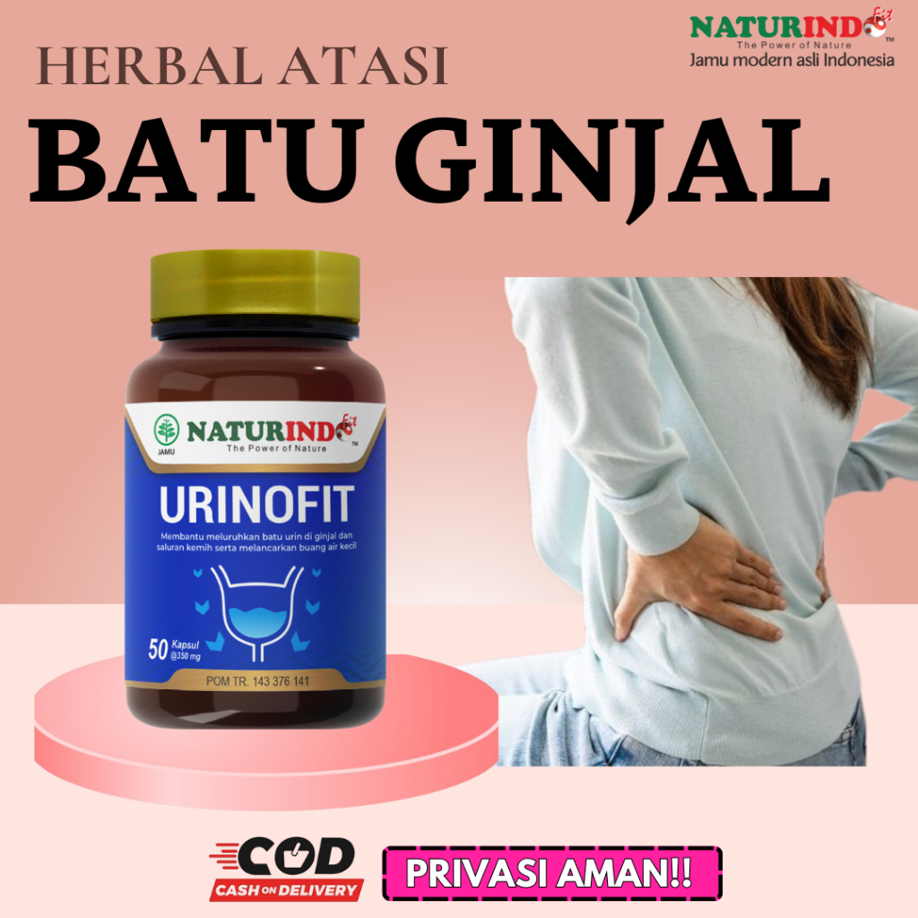 Obat Batu Ginjal Kencing  Batu dan infeksi saluran kemih Herbal Ginjal Kencing Tidak Tuntas Obat Gin