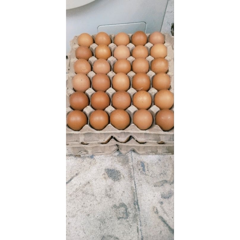 

Telur Omega 10kg (instant Only)