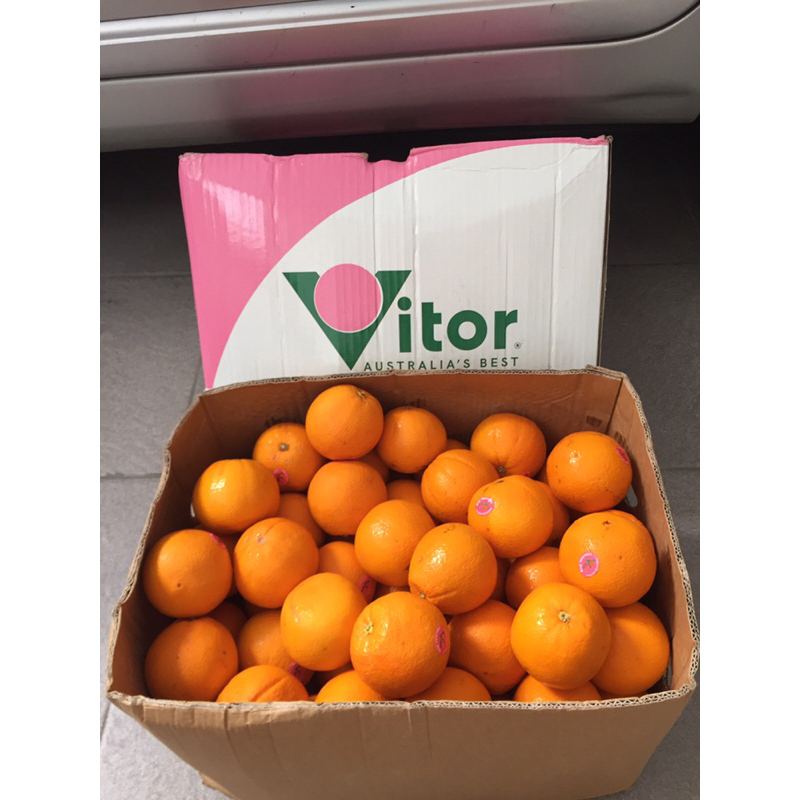 

Sunkis Cara Cara Vitorr Australia 1 Dus (18 KG) Fresh Import