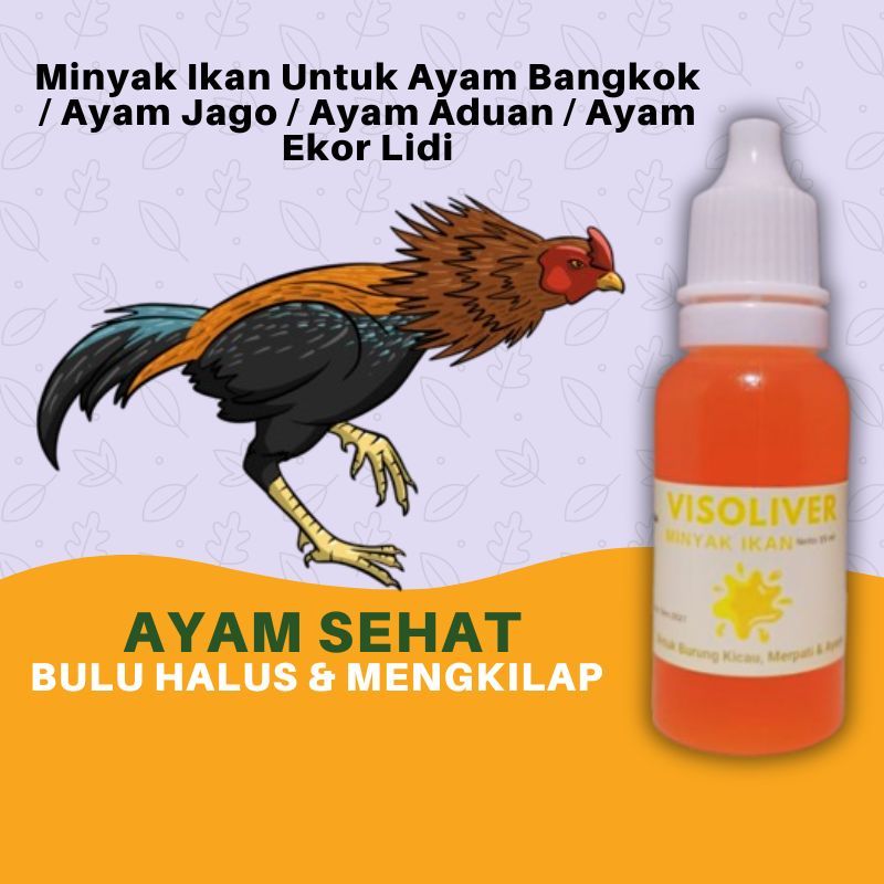 Visoliver Minyak Ikan Untuk Ayam Bangkok Aduan Jago Ekor Lidi Mengandung Omega3 Dan Vitamin