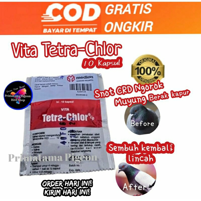 TETRA CHLOR 10 Kapsul TETRACHLOR OBAT BURUNG AYAM SNOT FLU NGOROK