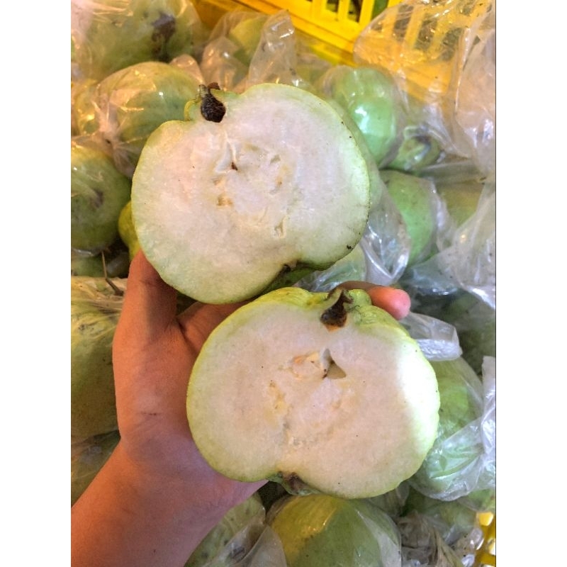 

jambu kristal//jambu manis//buah segar 1kg