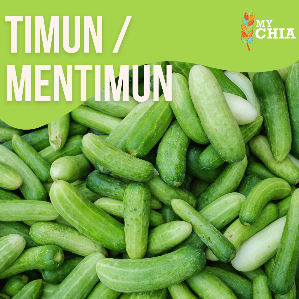 

Timun Mentimun Lokal Segar Sayur Fresh