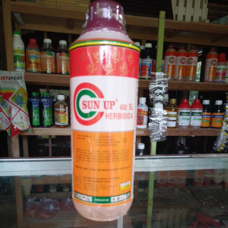 sun up 1 liter