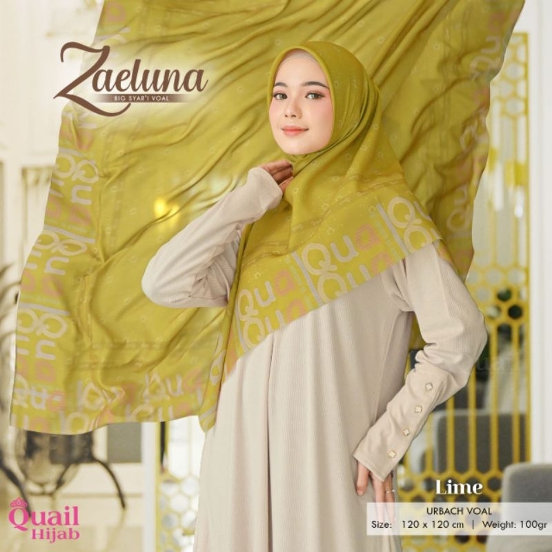 Square Zaeluna by Quail Hijab | Hijab Jumbo | Hijab Segi Empat