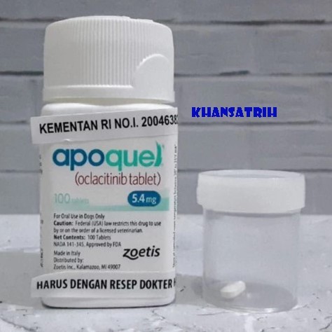 5 Tablet Apoquel Obat Gatal Alergi Pada Anjing Original ED 2026