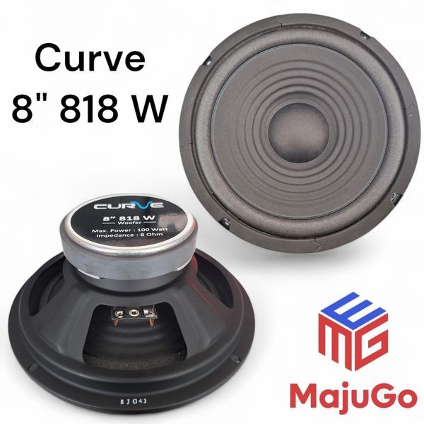 SPEAKER CURVE 8 INCH 818 W