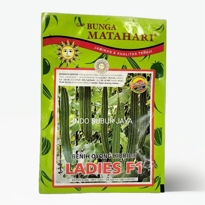 Ladies F1 Benih Oyong / Kesek Hibrida Hijau Cap Bunga Matahari 10 Gram